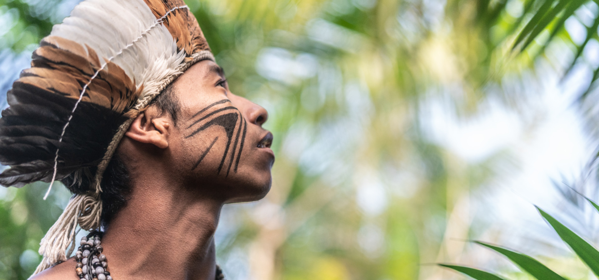 Retrato de joven indígena del pueblo Guaraní de Brasil en la selva