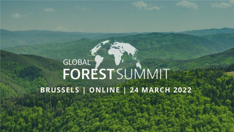 global forest summit