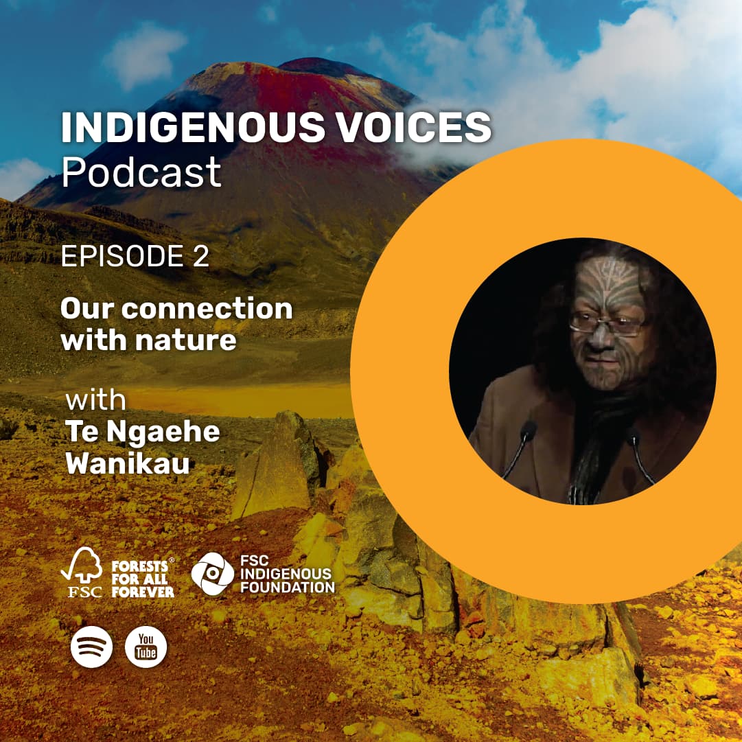 promotional content indigenous voices episode 3 with Te Ngehe