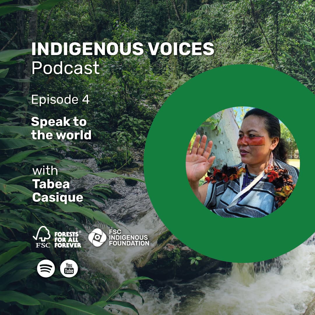 promotional content indigenous voices episode 4 with Tabea Casique