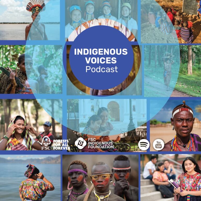 banner promo indigenous voices