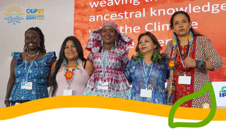 portait indigenous woman of the world - COP27