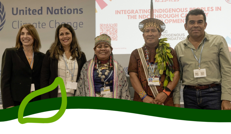 participants of side event Integrating Indigenous Peoples into the NDC Process through Capacity Development - COP27