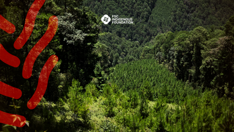 Ixtlán de Juárez Community Guardians of forests biological diversity