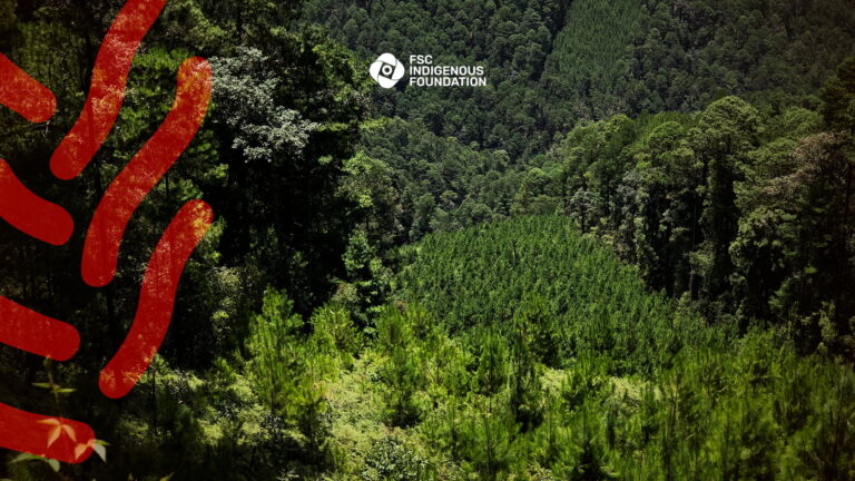 Comunidad de Ixtlán de Juárez: guardianes de la diversidad biológica de sus bosques