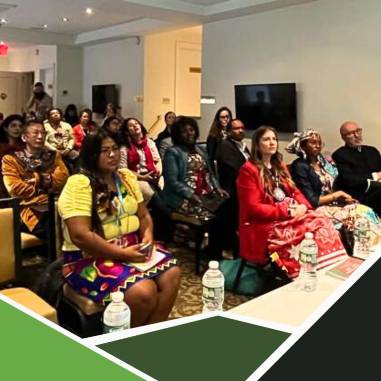 FSC IF safeguarding indigenous cultural landscapes meeting