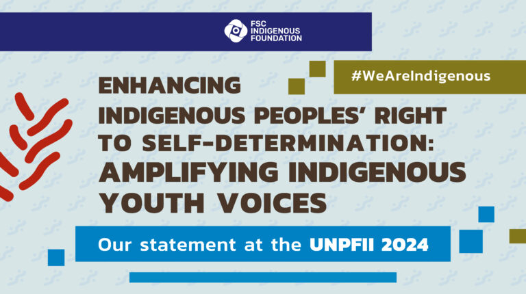Indigenous Peoples' Self-Determination Empowering Indigenous Youth