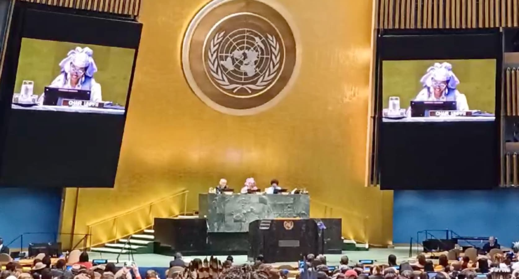 FSC Hindou Oumarou Ibrahim at the UN Permanent Forum on Indigenous Issues