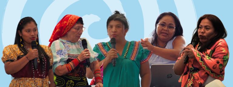 Banner TV Indigena wins consultancy