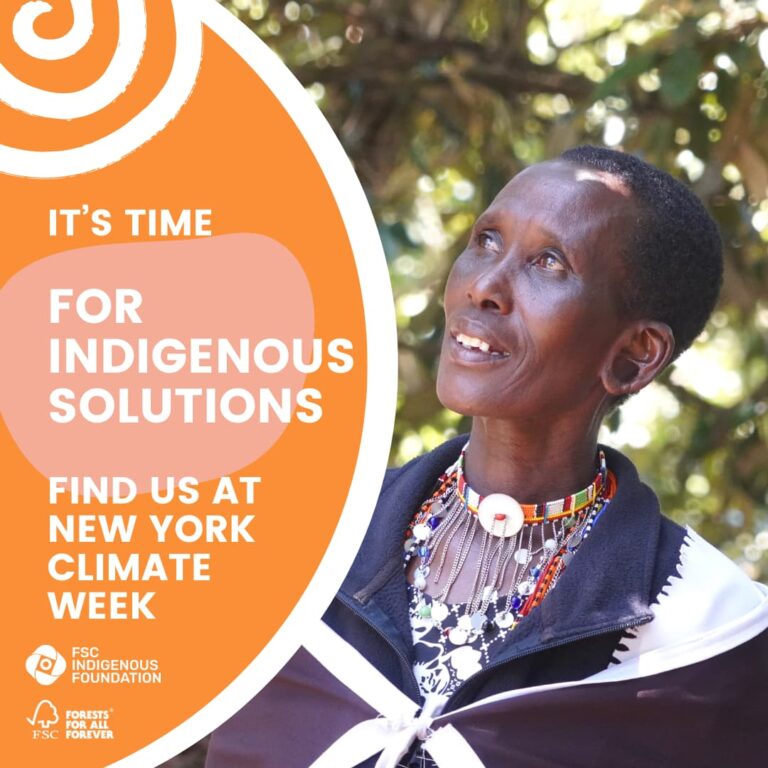 Banner It's time for Indigenous Solutions