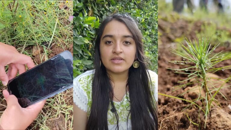 geographic information systems