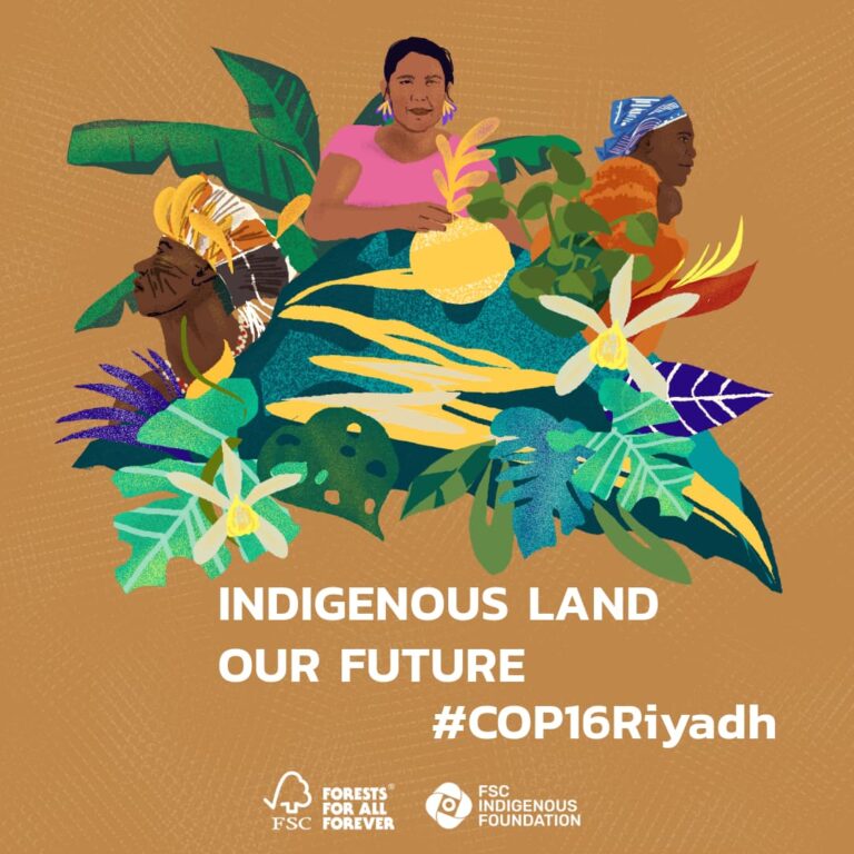 Indigenous land, our future