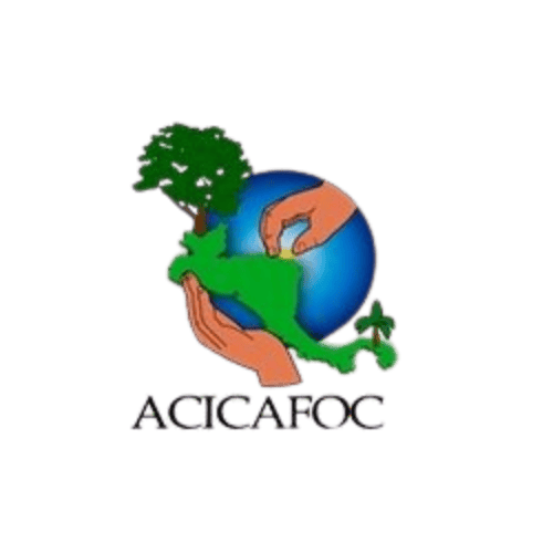 ACICAFOG logo