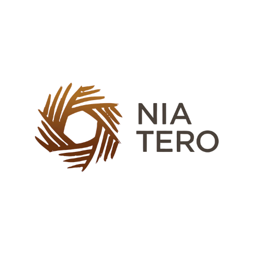 NIATERO logo