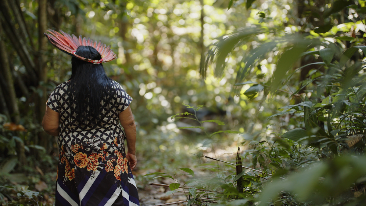 Indigenous People in Helena, Brazil